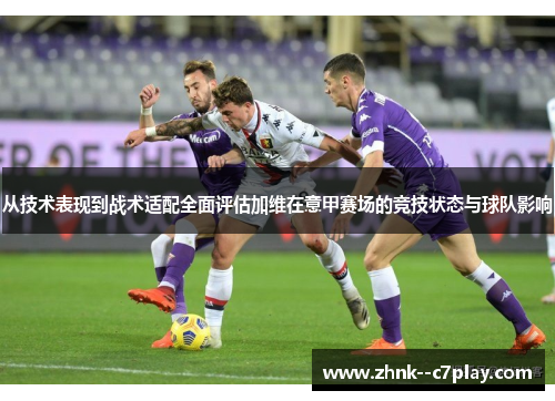 从技术表现到战术适配全面评估加维在意甲赛场的竞技状态与球队影响