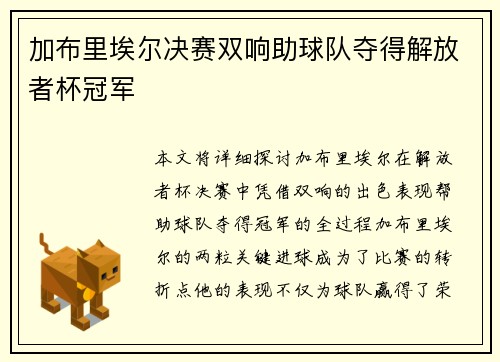 加布里埃尔决赛双响助球队夺得解放者杯冠军